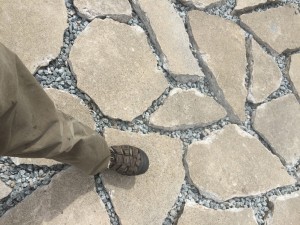 IMG_0968