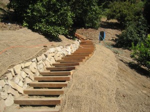 IMG_5672