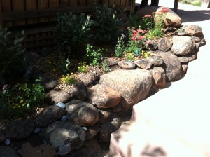 Rock wall - hardscape